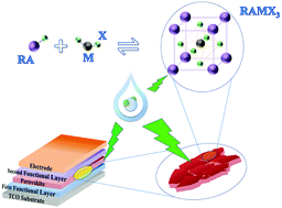 Graphical abstract: Impact of H2O on organic–inorganic hybrid perovskite solar cells