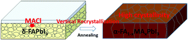 Graphical abstract: Vertical recrystallization for highly efficient and stable formamidinium-based inverted-structure perovskite solar cells