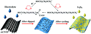 Graphical abstract: Ad hoc solid electrolyte on acidized carbon nanotube paper improves cycle life of lithium–sulfur batteries