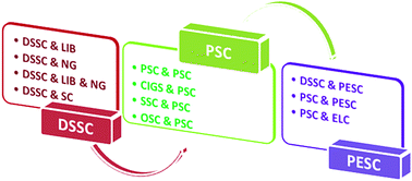 Graphical abstract: New-generation integrated devices based on dye-sensitized and perovskite solar cells