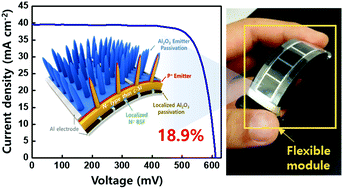 Graphical abstract: Flexible crystalline silicon radial junction photovoltaics with vertically aligned tapered microwires