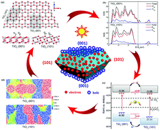 Graphical abstract: Epitaxial facet junctions on TiO2 single crystals for efficient photocatalytic water splitting