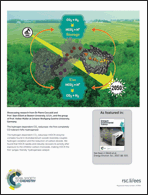 Graphical abstract: Inside back cover