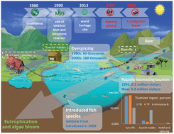 Graphical abstract: Response of the phytoplankton community to water quality in a local alpine glacial lake of Xinjiang Tianchi, China: potential drivers and management implications