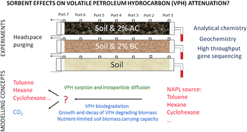 Graphical abstract: Mechanisms of distinct activated carbon and biochar amendment effects on petroleum vapour biofiltration in soil