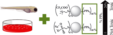 Graphical abstract: Residual weakly bound ligands influence biological compatibility of mixed ligand shell, thiol-stabilized gold nanoparticles