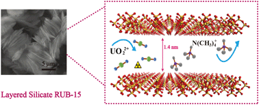 Graphical abstract: Layered silicate RUB-15 for efficient removal of UO22+ and heavy metal ions by ion-exchange