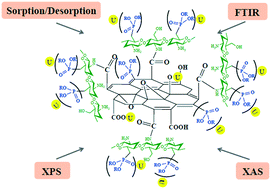 Graphical abstract: Fabrication of a phosphorylated graphene oxide–chitosan composite for highly effective and selective capture of U(vi)