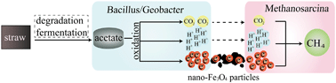 Graphical abstract: Nano-Fe3O4 particles accelerating electromethanogenesis on an hour-long timescale in wetland soil