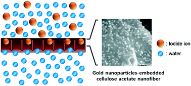 Graphical abstract: Efficient and selective removal of radioactive iodine anions using engineered nanocomposite membranes