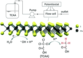 Graphical abstract: Hierarchical MoS2 nanosheets on flexible carbon felt as an efficient flow-through electrode for dechlorination