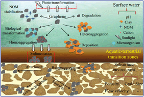 Graphical abstract: Graphene analogues in aquatic environments and porous media: dispersion, aggregation, deposition and transformation