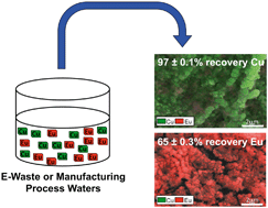 Graphical abstract: Electrochemical deposition for the separation and recovery of metals using carbon nanotube-enabled filters