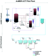 Graphical abstract: Fate of endocrine disruptor compounds in an anaerobic membrane bioreactor (AnMBR) coupled to an activated sludge reactor