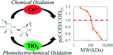 Graphical abstract: Towards the real-time monitoring of industrial wastewater treatment processes via photoelectrochemical oxygen demand measurements