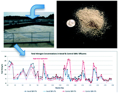 Graphical abstract: Kenaf addition has mixed effects on process performance of sequencing batch reactors treating municipal wastewater