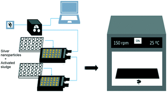 Graphical abstract: High-throughput microrespirometric characterization of activated sludge inhibition by silver nanoparticles