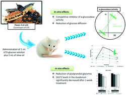 Graphical abstract: Fiber purified extracts of carob fruit decrease carbohydrate absorption