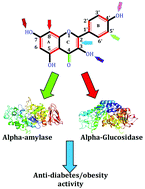 Graphical abstract: Differential α-amylase/α-glucosidase inhibitory activities of plant-derived phenolic compounds: a virtual screening perspective for the treatment of obesity and diabetes