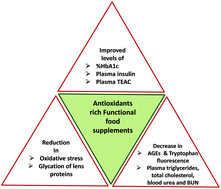 Graphical abstract: Functional food supplements to ameliorate the secondary complications in high fructose fed diabetic rats