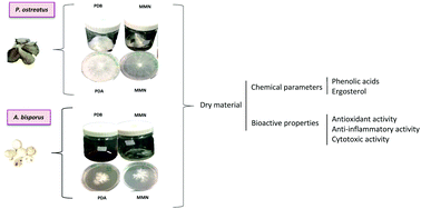 Graphical abstract: Development of nutraceutical formulations based on the mycelium of Pleurotus ostreatus and Agaricus bisporus