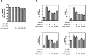 Graphical abstract: Welsh onion extract inhibits PCSK9 expression contributing to the maintenance of the LDLR level under lipid depletion conditions of HepG2 cells