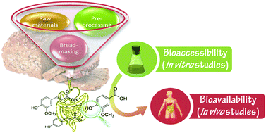 Graphical abstract: Bioaccessibility and bioavailability of phenolic compounds in bread: a review