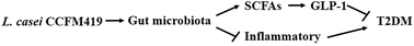 Graphical abstract: Lactobacillus casei CCFM419 attenuates type 2 diabetes via a gut microbiota dependent mechanism
