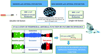 Graphical abstract: A serving of blueberry (V. corymbosum) acutely improves peripheral arterial dysfunction in young smokers and non-smokers: two randomized, controlled, crossover pilot studies