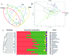 Graphical abstract: Dietary fucoidan of Acaudina molpadioides alters gut microbiota and mitigates intestinal mucosal injury induced by cyclophosphamide