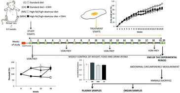 Graphical abstract: Pepsin egg white hydrolysate ameliorates metabolic syndrome in high-fat/high-dextrose fed rats