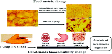 Graphical abstract: Evaluation of the impact of food matrix change on the in vitro bioaccessibility of carotenoids in pumpkin (Cucurbita moschata) slices during two drying processes