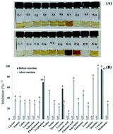 Graphical abstract: Antioxidant activity and inhibitory effects of 2-hydroxy-3-methylcyclopent-2-enone isolated from ribose–histidine Maillard reaction products on aldose reductase and tyrosinase