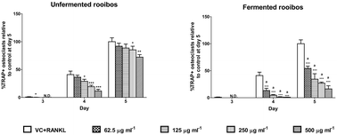 Graphical abstract: Rooibos tea extracts inhibit osteoclast formation and activity through the attenuation of NF-κB activity in RAW264.7 murine macrophages