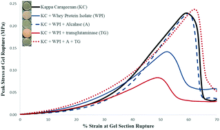 Graphical abstract: Modulation of whey protein-kappa carrageenan hydrogel properties via enzymatic protein modification