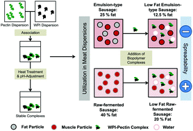 Graphical abstract: Impact of food structure on the compatibility of heated WPI–pectin-complexes in meat dispersions