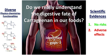 Graphical abstract: Revisiting the carrageenan controversy: do we really understand the digestive fate and safety of carrageenan in our foods?