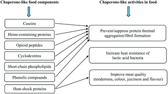 Graphical abstract: Chaperone-like food components: from basic concepts to food applications