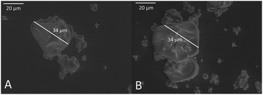 Graphical abstract: Structure, gelation, and antioxidant properties of curcumin-doped casein micelle powder produced by spray-drying