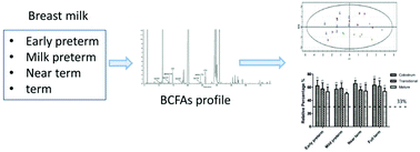 Graphical abstract: The impact of lactation and gestational age on the composition of branched-chain fatty acids in human breast milk