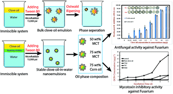 Graphical abstract: Influence of oil phase composition on the antifungal and mycotoxin inhibitory activity of clove oil nanoemulsions