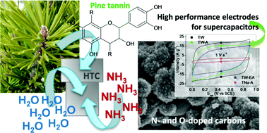 Graphical abstract: Outstanding electrochemical performance of highly N- and O-doped carbons derived from pine tannin