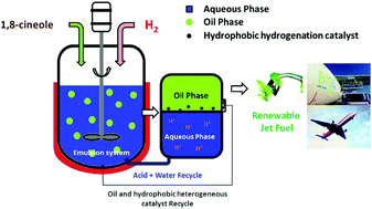 Graphical abstract: Highly efficient conversion of terpenoid biomass to jet-fuel range cycloalkanes in a biphasic tandem catalytic process