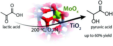 Graphical abstract: MoO3–TiO2 synergy in oxidative dehydrogenation of lactic acid to pyruvic acid