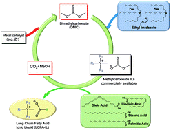 Graphical abstract: A general environmentally friendly access to long chain fatty acid ionic liquids (LCFA-ILs)