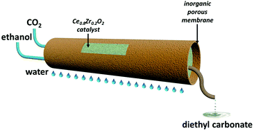 Graphical abstract: Continuous CO2 esterification to diethyl carbonate (DEC) at atmospheric pressure: application of porous membranes for in situ H2O removal