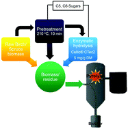 Graphical abstract: Valorisation of woody biomass by combining enzymatic saccharification and pyrolysis