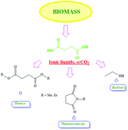 Graphical abstract: Valuable new platform chemicals obtained by valorisation of a model succinic acid and bio-succinic acid with an ionic liquid and high-pressure carbon dioxide