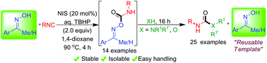 Graphical abstract: Oximes as reusable templates for the synthesis of ureas and carbamates by an in situ generation of carbamoyl oximes