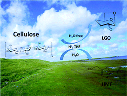 Graphical abstract: Production of levoglucosenone and 5-hydroxymethylfurfural from cellulose in polar aprotic solvent–water mixtures